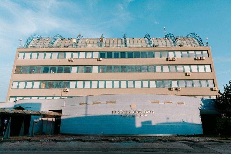 未来学園 - Image 7